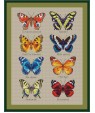 Set of butterflies